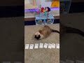 Cards Against Humanity