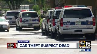 Car theft suspect dies after confrontation with Phoenix police