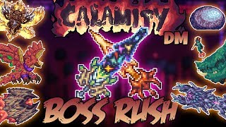 The calamity boss rush was a ton of fun and perfect way to end off
this series. basically, all bosses up until tier 5 were walk in th...