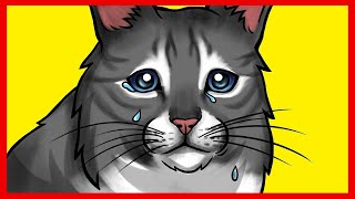 16 Maneiras De Dizer Ao Seu Gato "Eu Te Amo" Para Que Ele Possa Entender screenshot 2