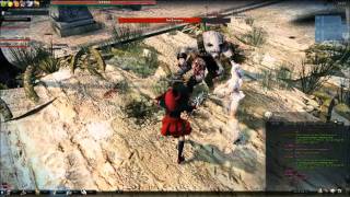 Vindictus Lag