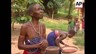 DownloadThe wonder of the Kenyan forest MP3 MP4 The wonder of the Kenyan forest