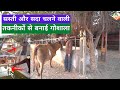 सपनों की गुजराती गौशाला 😍 | Dream Dairy Farm of Gujarat | Farming Leader