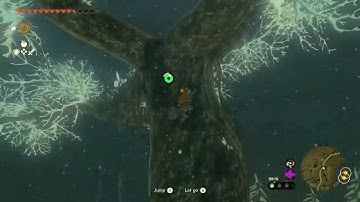 [DAY 548] of finding one korok seed in TotK everyday until we get them all