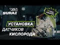 Замена датчиков кислорода SURAI на Skoda Rapid Сурай