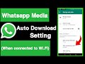 Whatsapp media auto download setting when connected on wifiunique tech 55