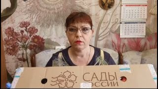 САДЫ РОССИИ прислали очередной заказ. Все покажу честно.