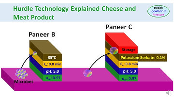 Hurdle Technology Explained Cheese and Meat Product