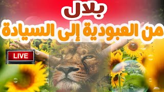 قصه بلال ابن رباح الحبشي و ابو  بكر الصديق