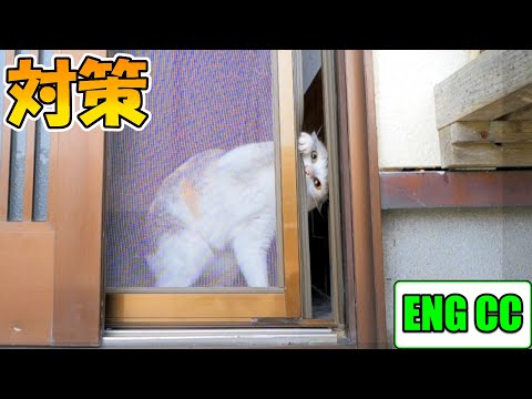 Η γάτα μου αρέσει να ανοίγει την πόρτα και να βγαίνει και εδώ έκανα 【DIY】