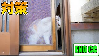 My cat likes to open the door and go out and here's what I did 【DIY】