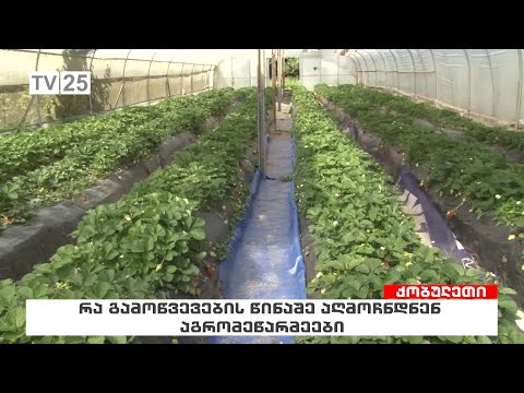 რა გამოწვევების წინაშე აღმოჩნდნენ აგრომეწარმეები