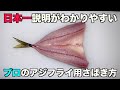 誰でも簡単わかりやすい【鯵アジ】フライ用さばき方　背開き