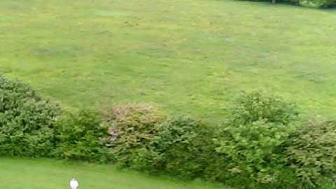 Align Trex 250 SE -  Loop, loop, crash!