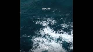 Distant Echoes - Femidi