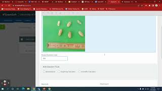 Essay Questions Examsoft screenshot 1