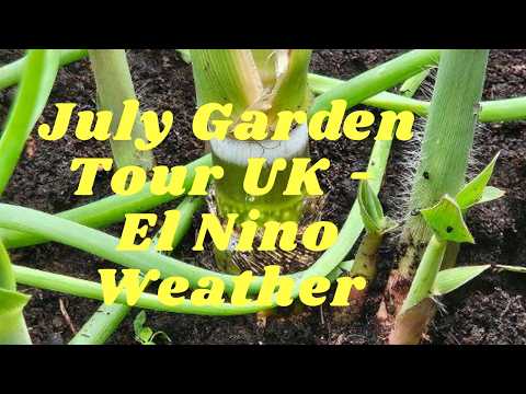 July Garden Tour UK - El Nino Weather