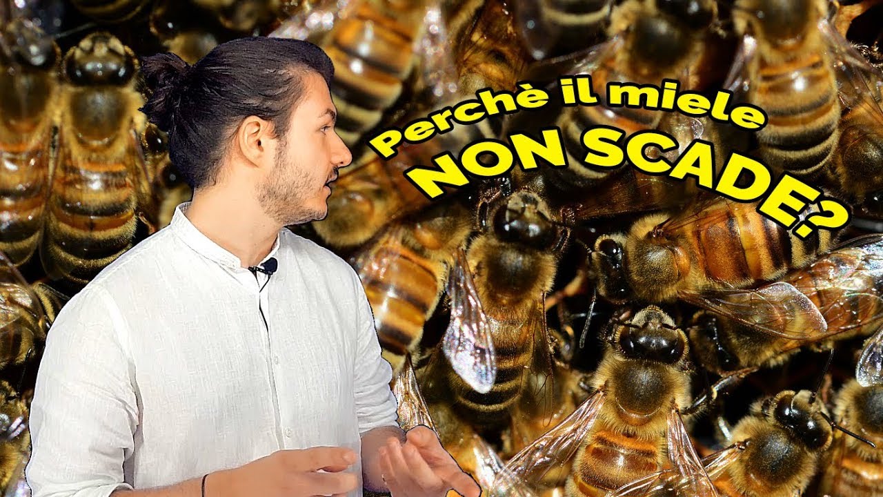 Perchè il MIELE non scade? - La Chimica del Miele