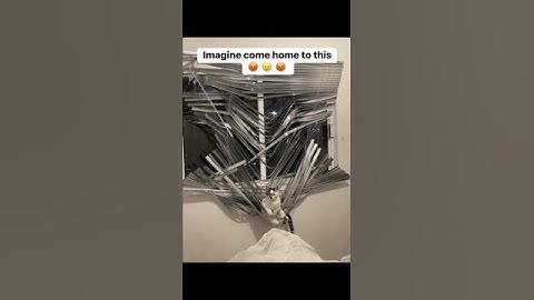 Lazy cat 🤣🤣 #cat #funny #catvideos #catshorts