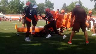 Fans fired up by Njoku as Browns go to work at camp.