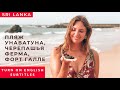 Шри-Ланка, Галле | Выпускаю новорождённых черепашек в океан | Как провести время в Унаватуне