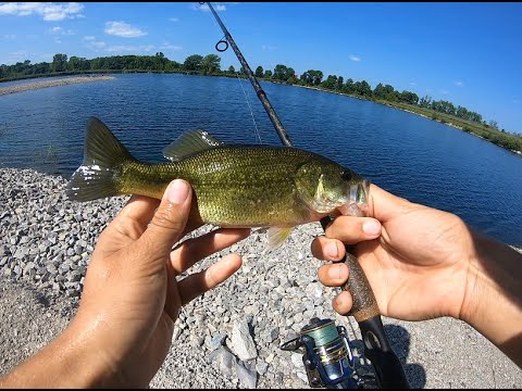 Summer bass fishing with wacky rig