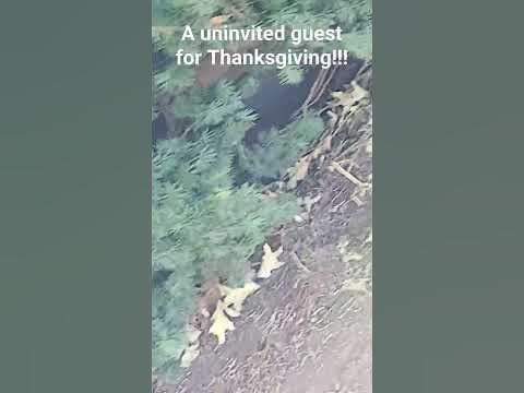 Thanksgiving address by george washington