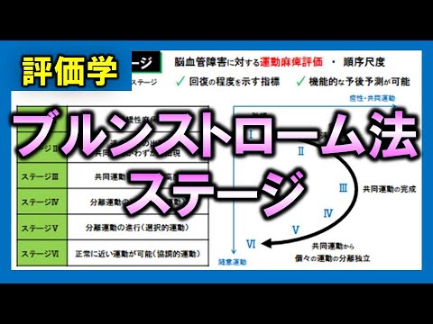 ブルンストローム臨床運動学 ブルンストローム臨床運動学