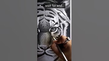 Mastering realistic tiger sketch techniques/sketch tutorial