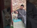 ابو الحصين
