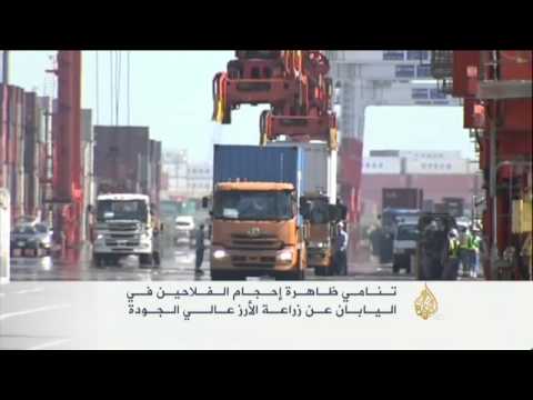 إحجام الفلاحين اليابانيين عن زراعة الأرز العالي الجودة