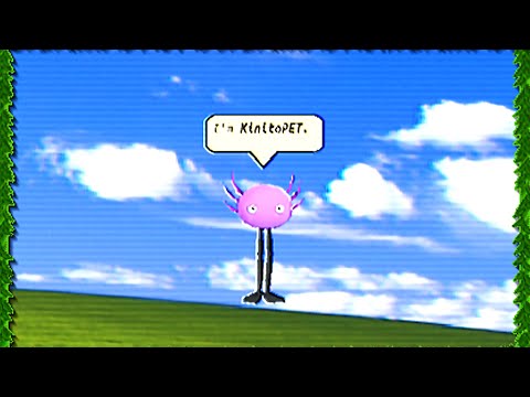 kinito pet