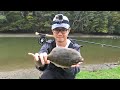 Fly fishing for flounder in new zealand
