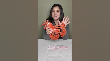 Lobster Dog Toy with Squeaker & Rope - Interactive Chew Toy #ad