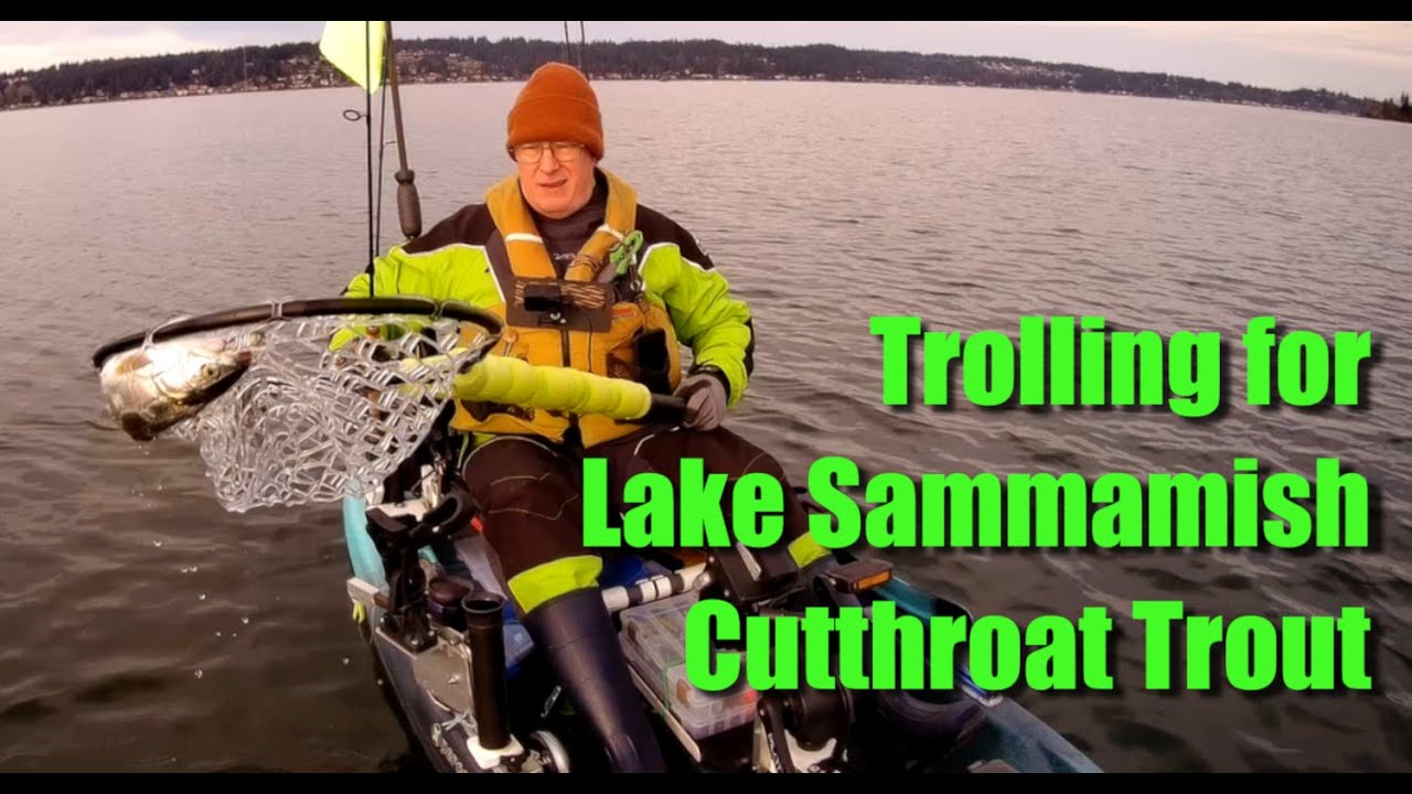 Using a kayak to troll for Cutthroat trout on lake Sammamish. YouTube