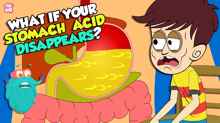 What If Your Stomach Acid Disappeared? | Gastric Acid | The Dr Binocs Show | Peekaboo Kidz - DayDayNews