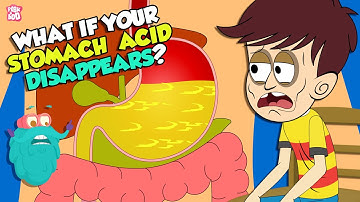 What If Your Stomach Acid Disappeared? | Gastric Acid | The Dr Binocs Show | Peekaboo Kidz