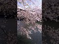 『花の街』音の備忘録