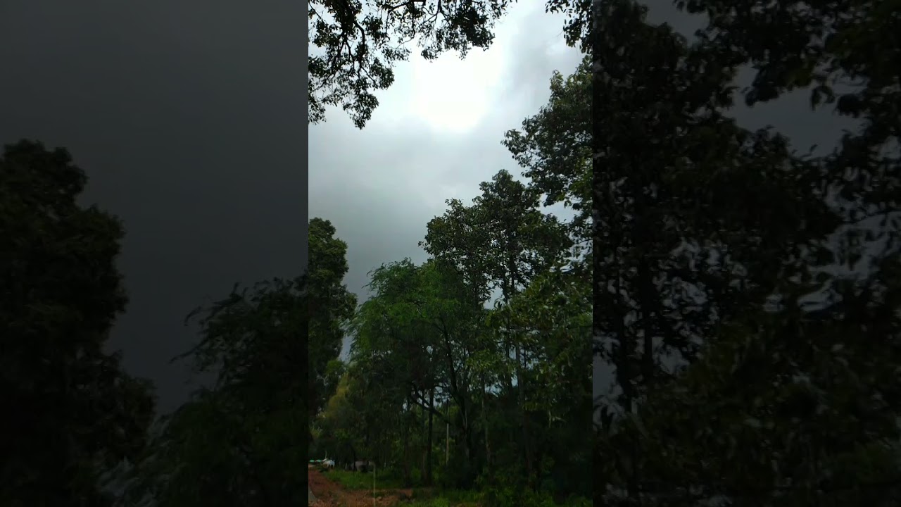 Obejrzyj The sound of light rain falling from the roof in the evening is very cool, feeling a little sleepy w YouTube Obejrzyj The sound of light rain falling from the roof in the evening is very cool, feeling a little sleepy w YouTube