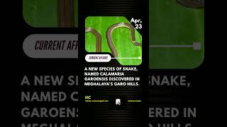 A new snake specie, Calamaria Garoensis, discovered in Meghalaya's Garo Hill #shorts #currentaffairs