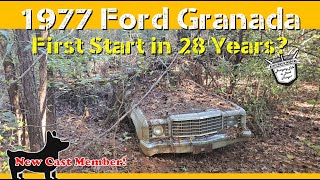 1977 Ford Granada Abandoned in Woods: First Start in 28 Years? Will It Start?