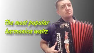 The most popular harmonica waltz