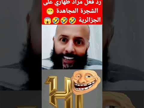 مراد الطاهري سلخ الكرغولي على ترميم الشجره اكسبلور دويتو   ضحك