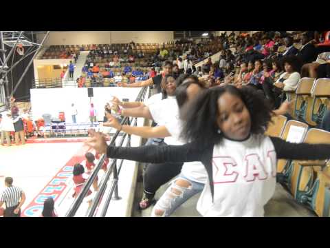 SCSU Greek Night 2014- Sigma Alpha Iota