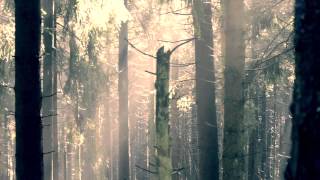 Harz (2012)