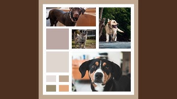 Pulsating Ambience for Cute Puppy