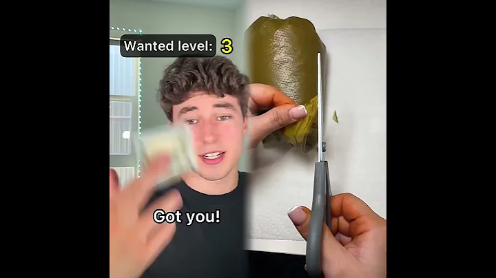 POV Everyone has a wanted level 1-5, 5 being the most aggressive…PT.2