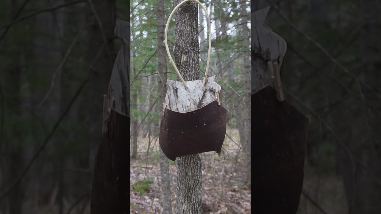 2 Baskets You Make from Birch Bark!