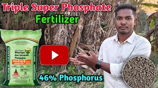 Triple Super Phosphate Fertilizer (TSP) 46% Phosphorus | Best Fertilizer