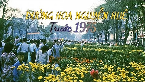 Đường Hoa Nguyễn Huệ Trước 1975 – Vẻ Đẹp Một Thời Không Thể Quên #kyuc #duonghoa #nguyenhue 